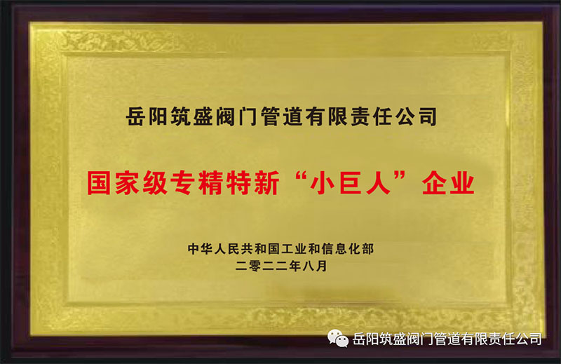 熱烈祝賀我公司榮獲國家級專精特新“小巨人”企業