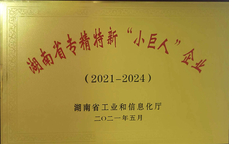 湖南省專精特新“小巨人”企業